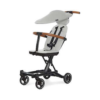 Evolur Cruise Rider Stroller with Canopy